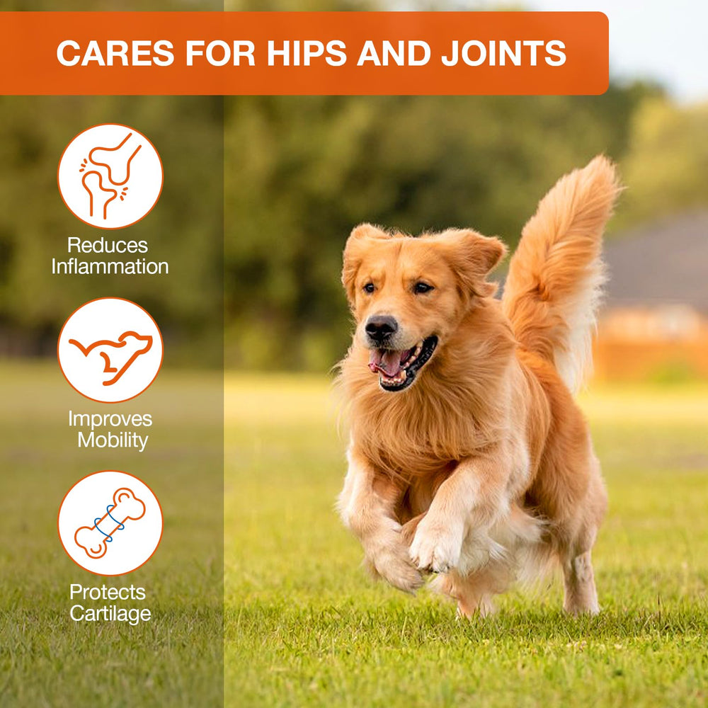 THRADORBS Hemp Calming Chews dog relaxing after a walk.