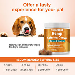THRADORBS Hemp Calming Chews anxiety-relief scene helps dogs feel secure.