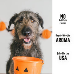 Three Dog Bakery Howl-O-Ween dog enjoying treat during festive playtime.