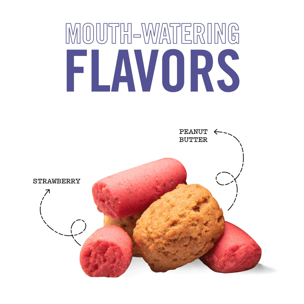 Three Dog Bakery PB&J Bites on paw as a soft, dog-friendly daily snack