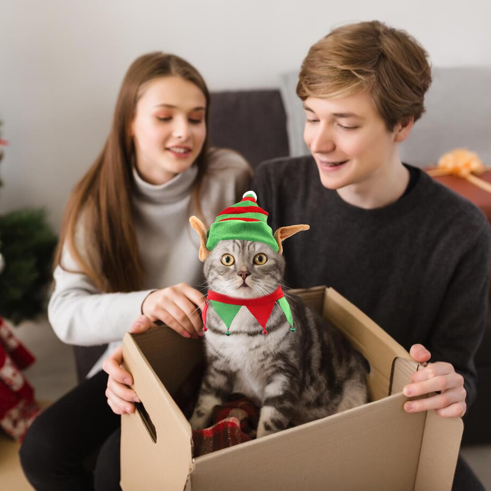 Threetols packaging gift-ready photo shows easy gifting option