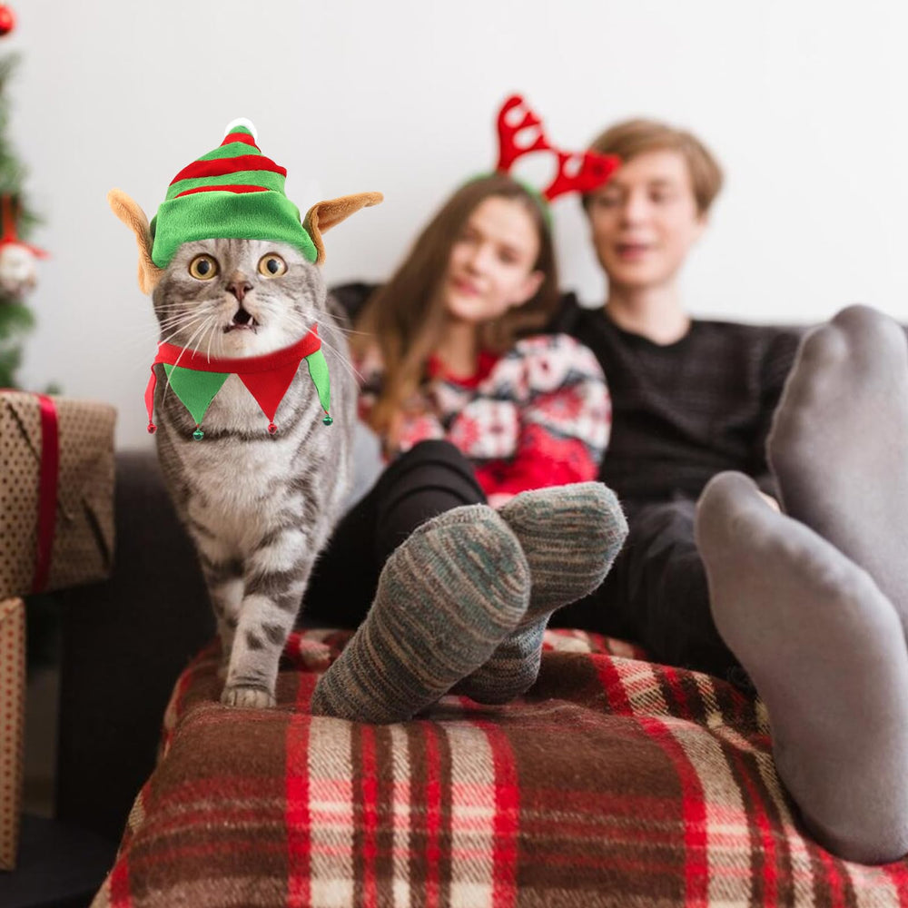 Threetols pet elf costume detail emphasizes playful holiday vibe