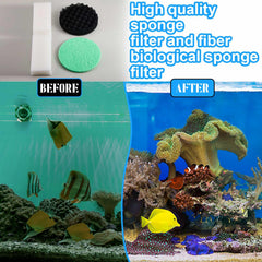 Threlaco carbon foam pads close-up highlighting surface filtration capacity.