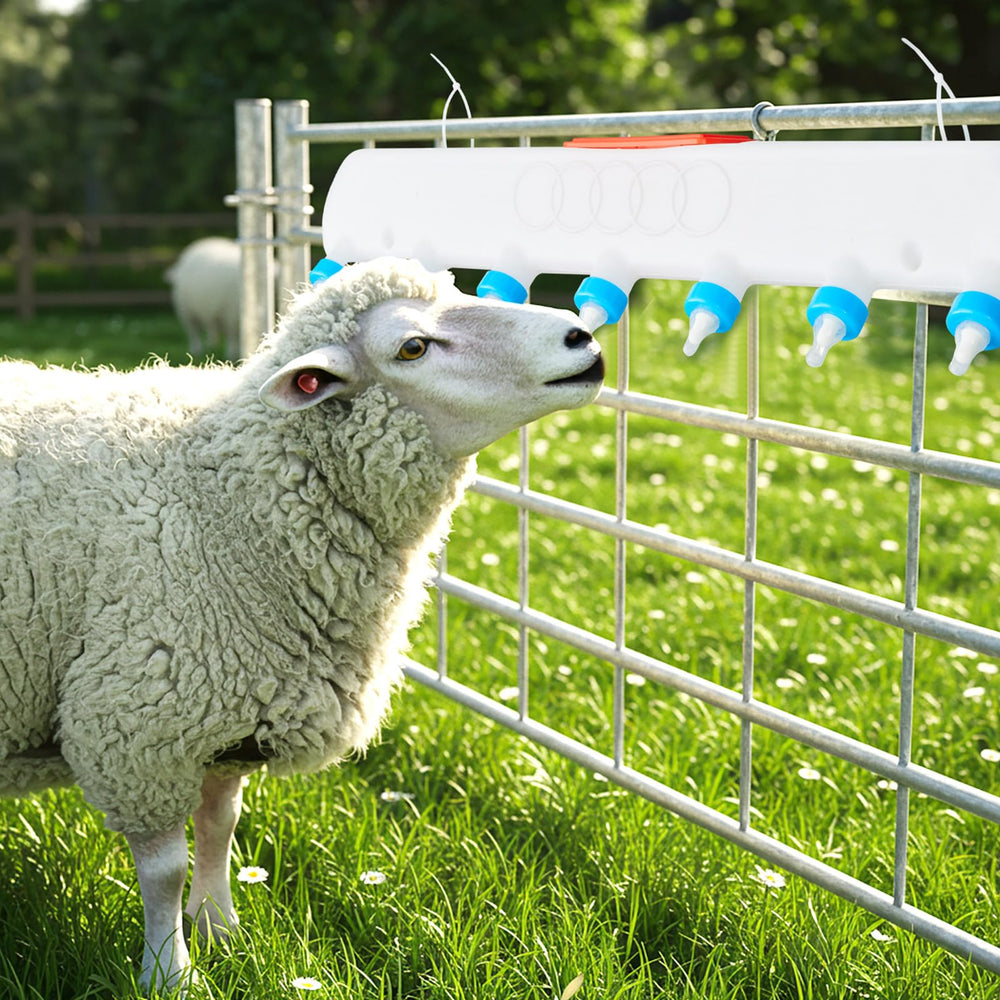 Threlaco 10L capacity supports larger groups of newborns in farm settings