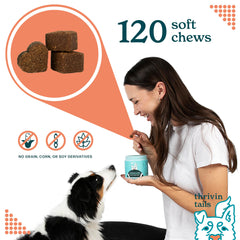 Thrivin Tails dog relaxing after chews indicating potential comfort