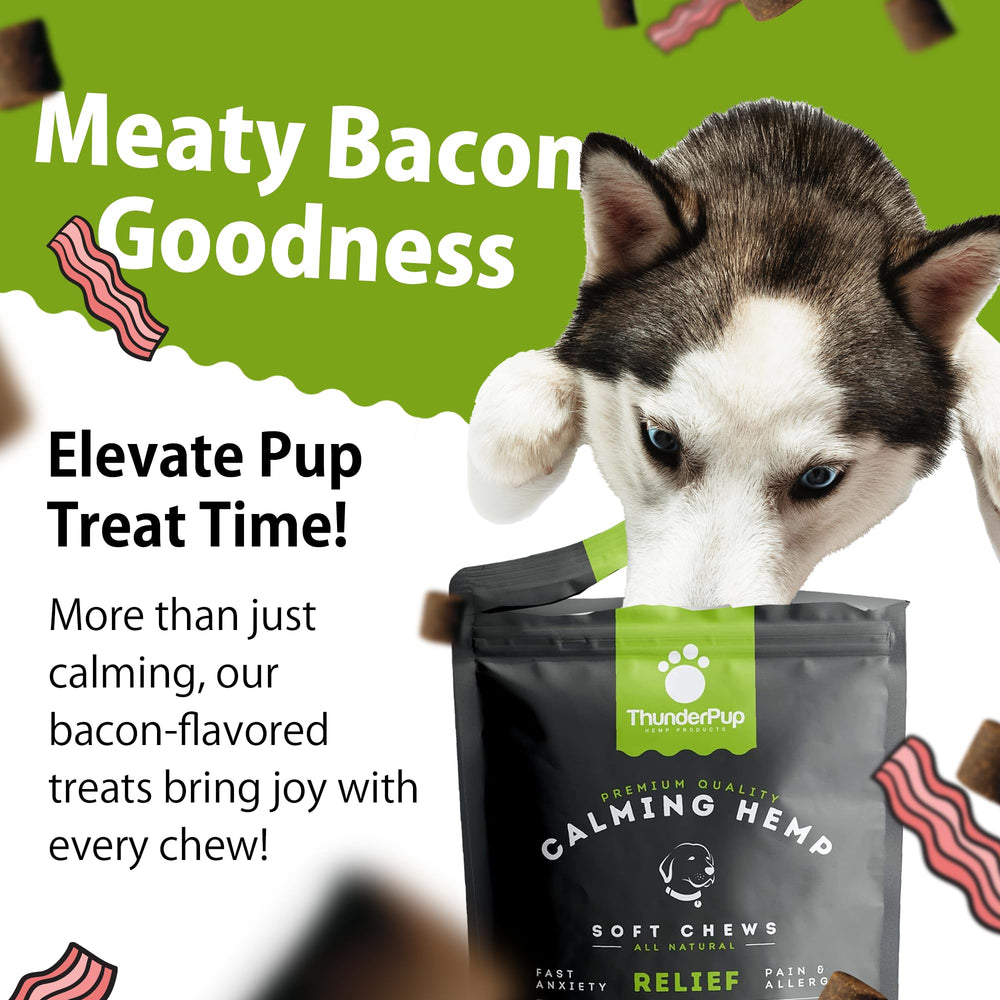 ThunderPup heart and immune wellness graphic highlights holistic support for overall health.