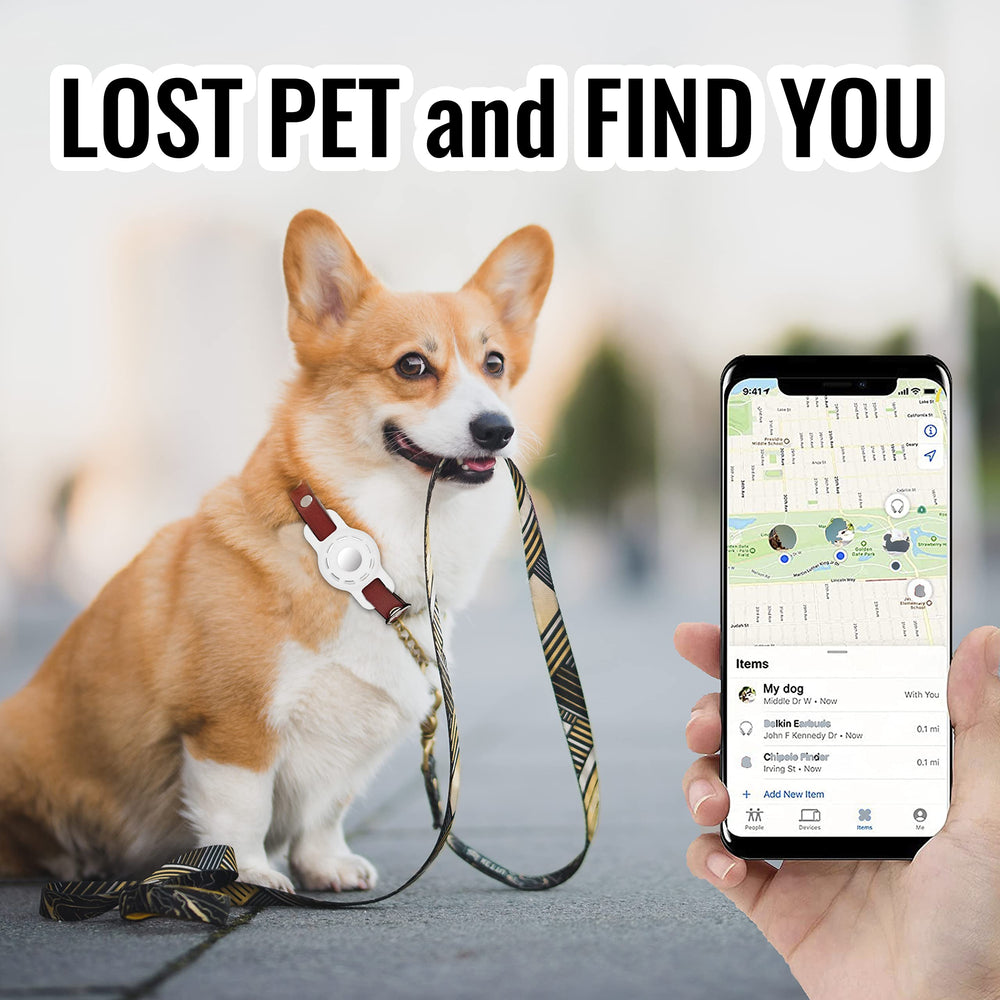 THXSBUDDY air tag protector worn on a pet stays secure during daily activity.