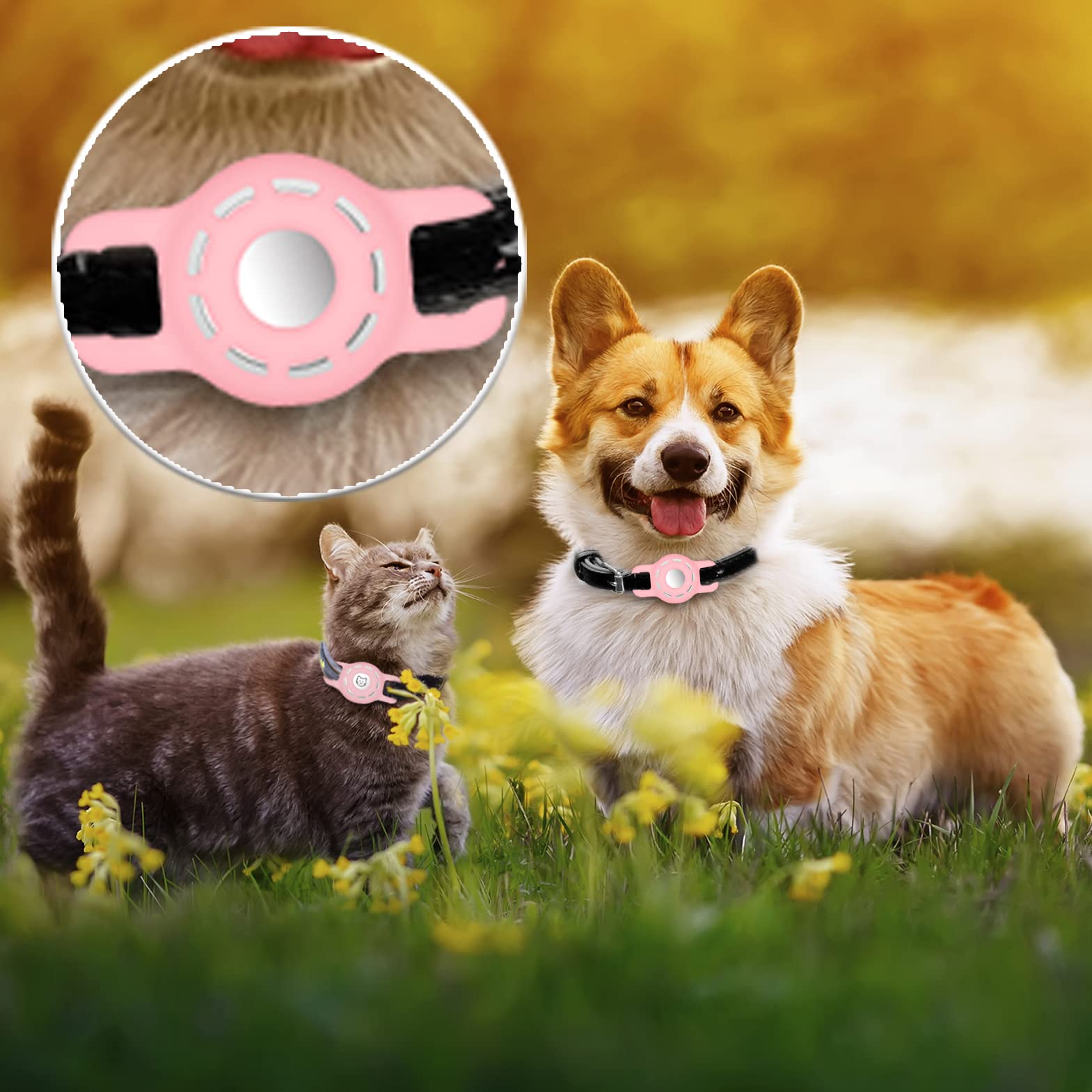 THXSBUDDY holder fits small dog collars within half inch.