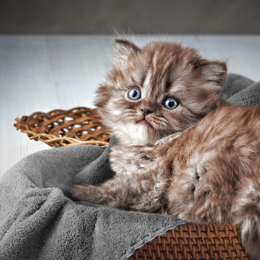 Thyle 18x24 inch pad highlights about 200 ml absorption for small pets