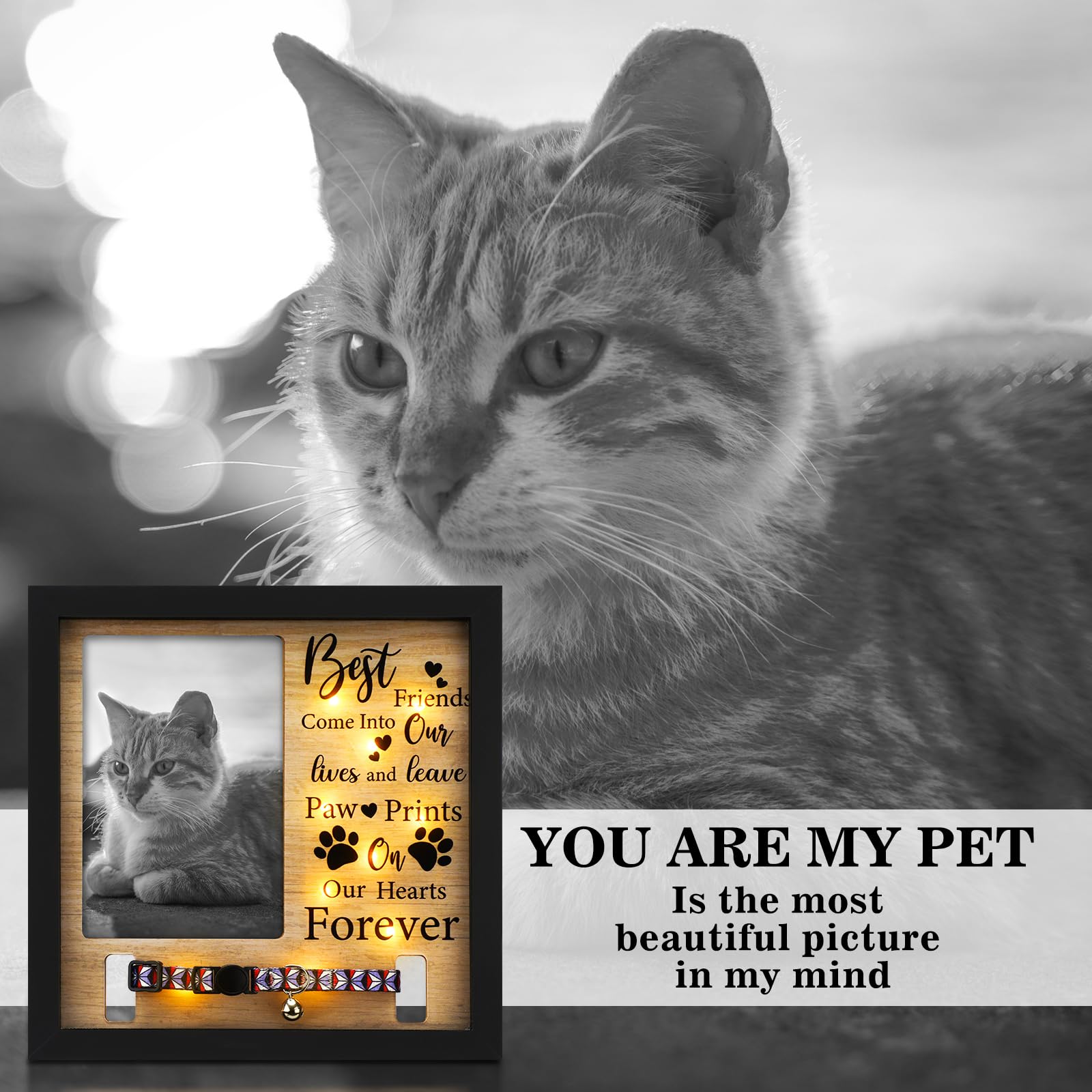 Thyle dog memorial frame dust-protected acrylic preserves treasured memories