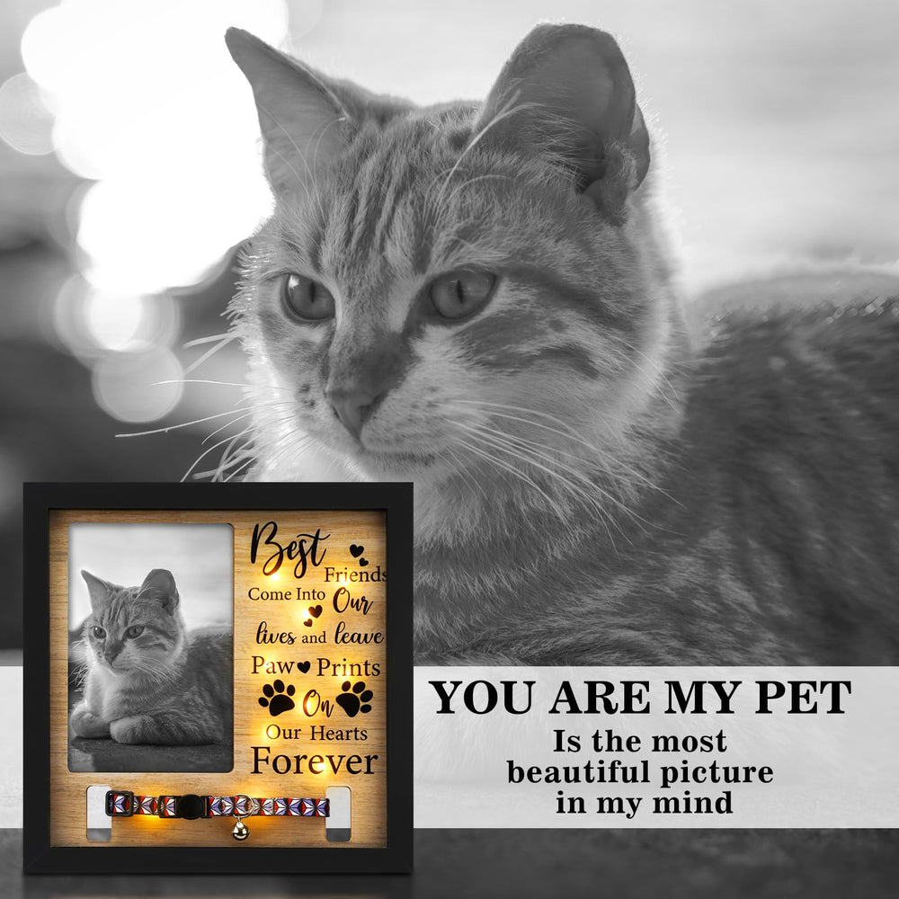 Thyle dog memorial frame dust-protected acrylic preserves treasured memories