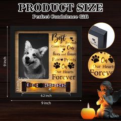 Thyle dog memorial frame with LED glow brightens a comforting space