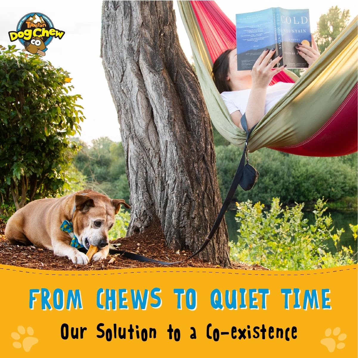 Tibetan Dog Chew long-lasting chew in action keeps dogs engaged