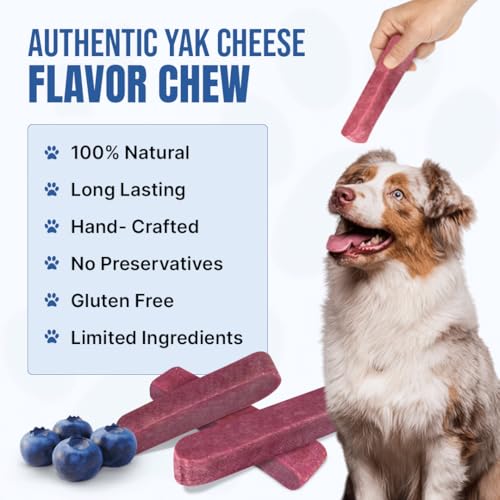 Tibetan Dog Chew yak cheese stick blueberry closeup shows crunchy texture.