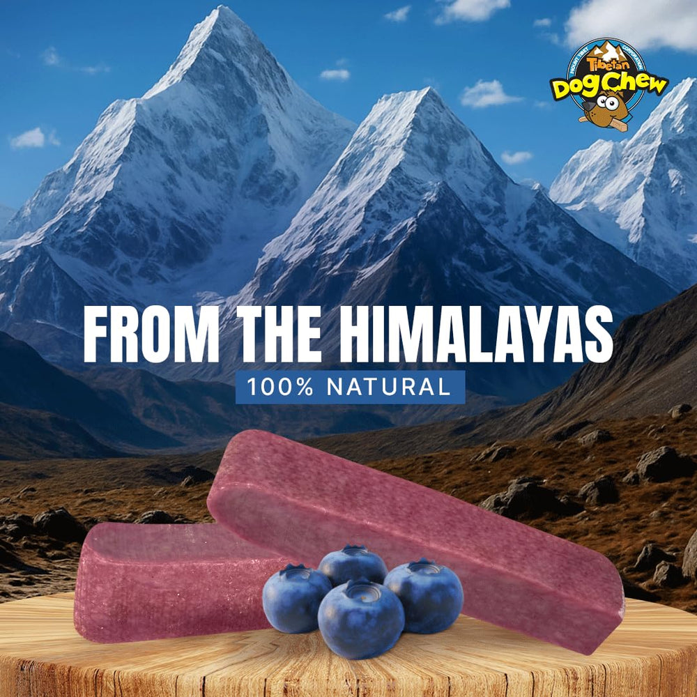 Tibetan Dog Chew yak cheese stick blueberry sustainable packaging highlights eco-friendly values.