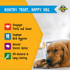 Tibetan Dog Chew Yak Cheese Sticks close-up texture shows creamy cheese