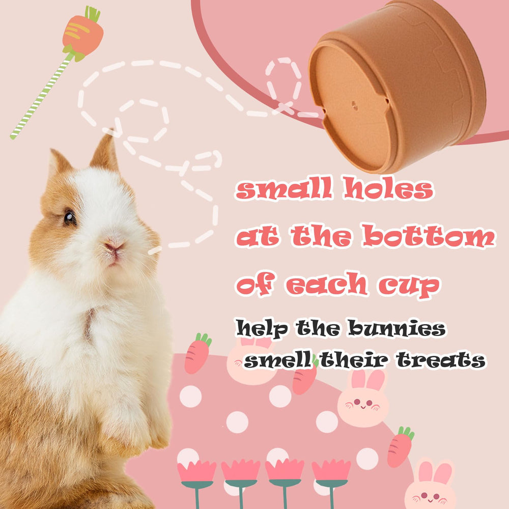 TiciKim cups with bottom holes detail scent-guided foraging stimulation.