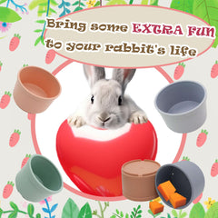 TiciKim stacking cups inner view demonstrates space-saving, modular nesting for easy storage.