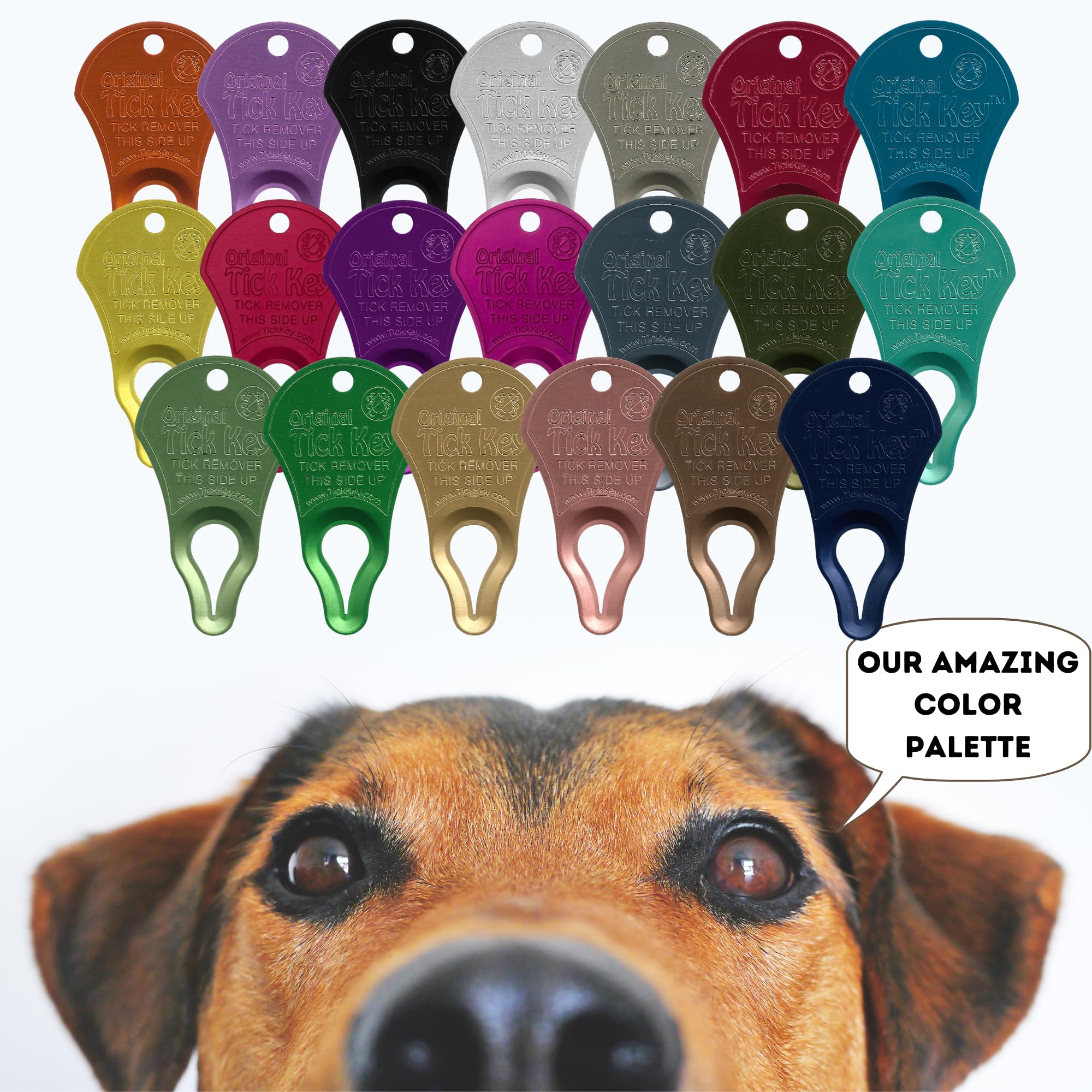 The Tick Key Original Pack Multi-Color highlights tiny ticks with practical deticking.