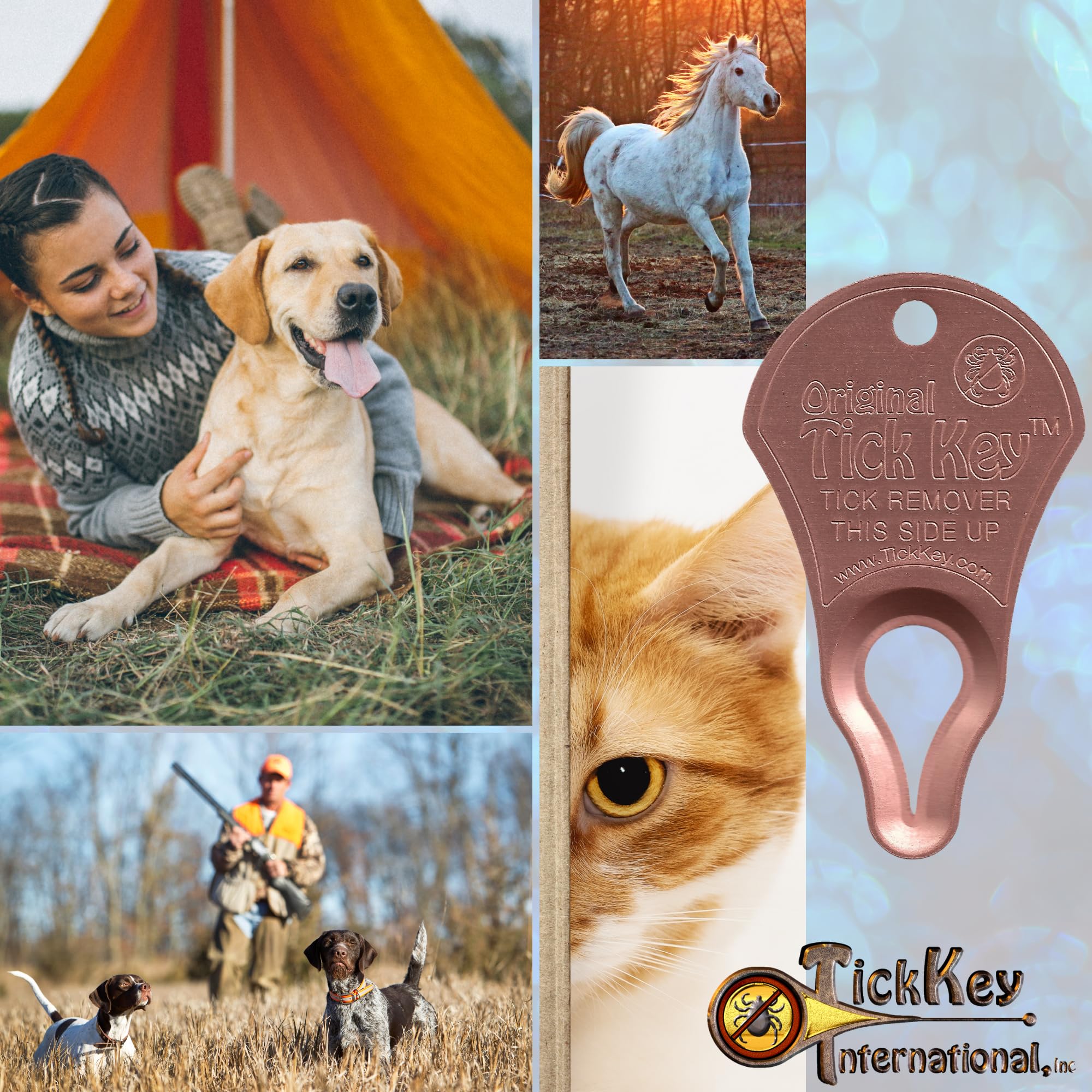 The Tick Key Original Pack Multi-Color demonstrates pocket-size utility in a field kit.