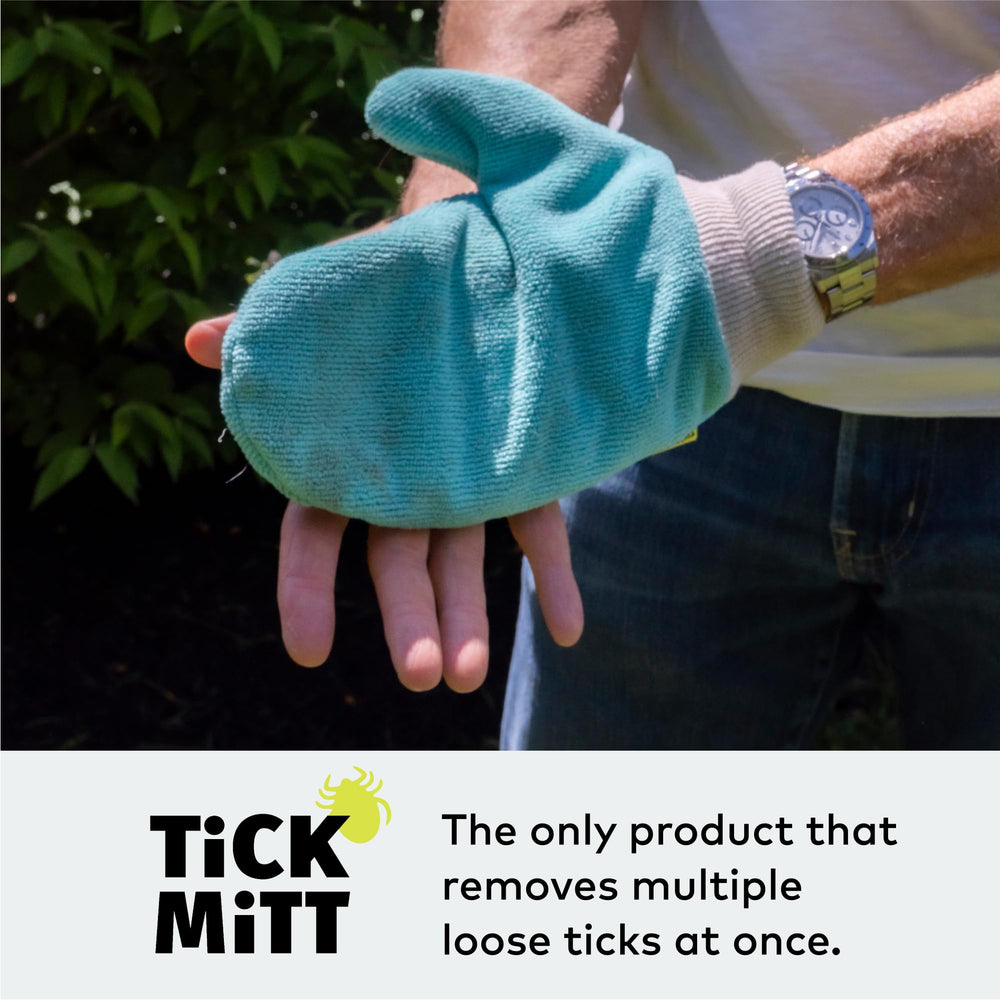 TiCK MiTT blue tick removal on pet demonstrates gentle, chemical-free solution for animals.