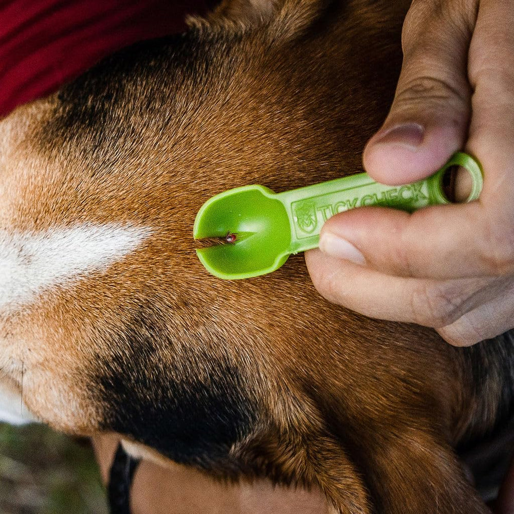 TickCheck field-tested tick remover design for easy removal from humans and pets.