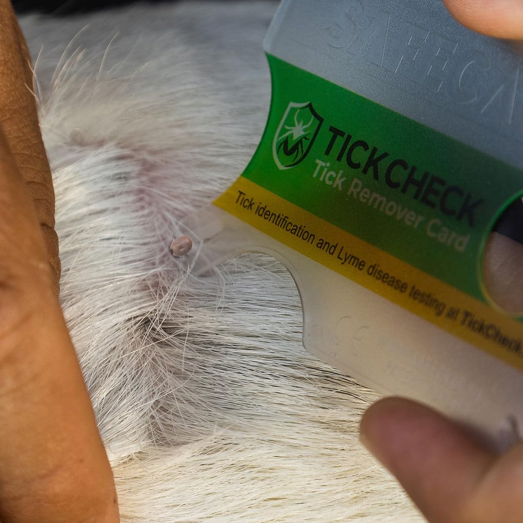 TickCheck Tick Remover Card patented design Europe now in US.