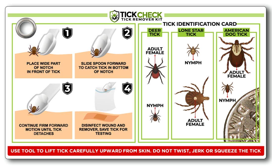 TickCheck waterproof tick ID card helps identify common tick species.
