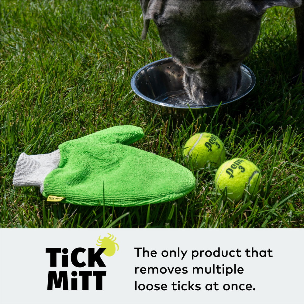 TiCK MiTT glove shown on a pet paw for chemical-free tick care.