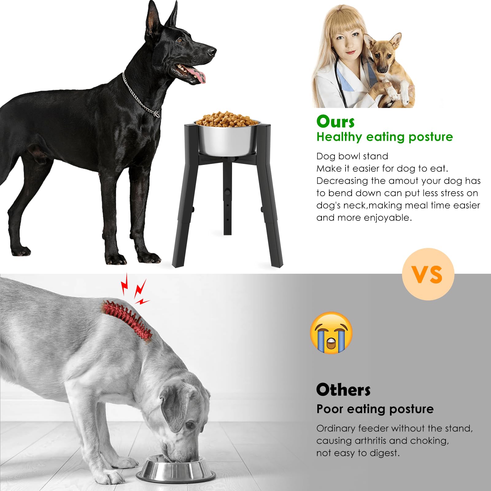 TIDANT dog bowl stand adjustable height setting enables comfortable meals for dogs