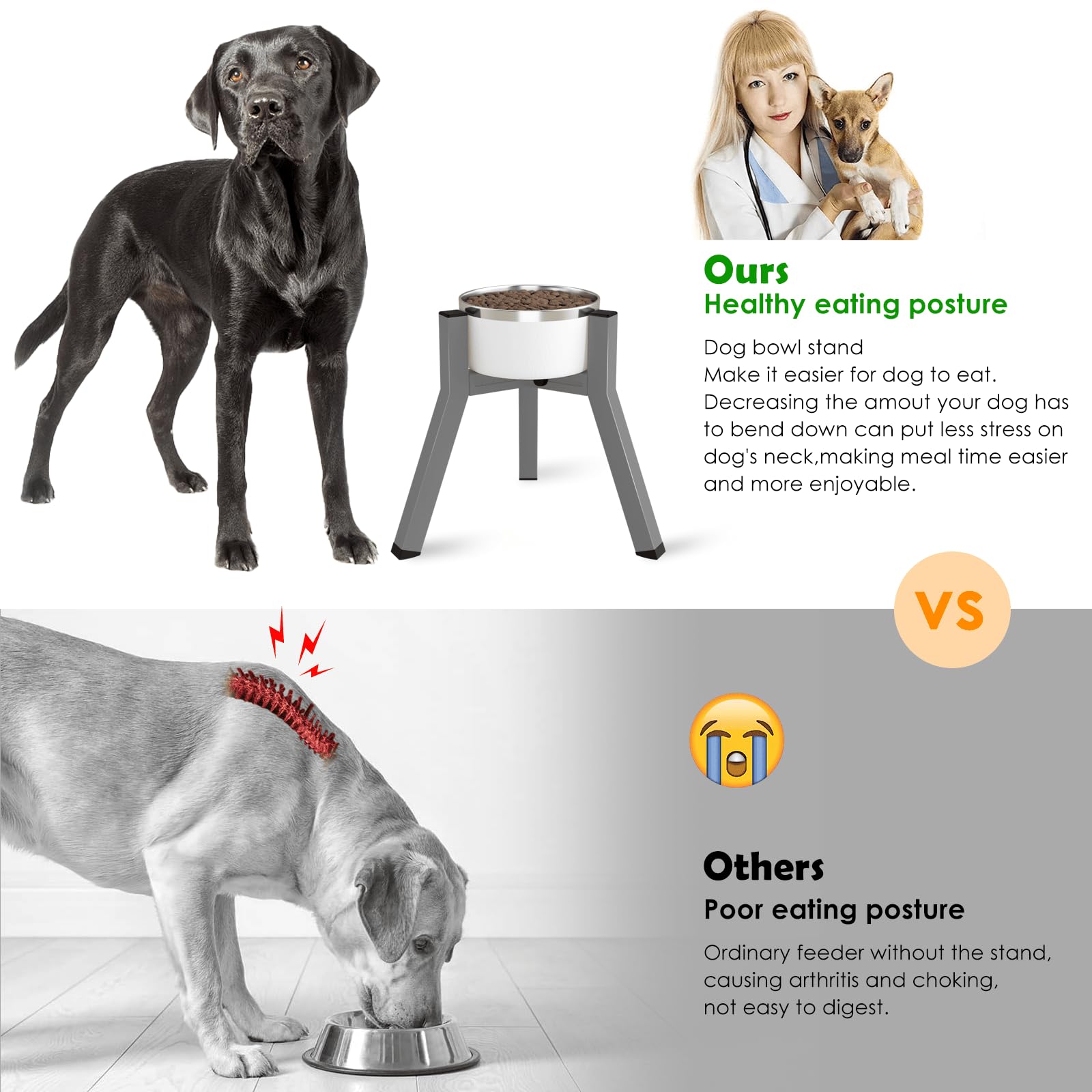 TIDANT dog bowl stand adjustable-width secures bowls for a custom fit.