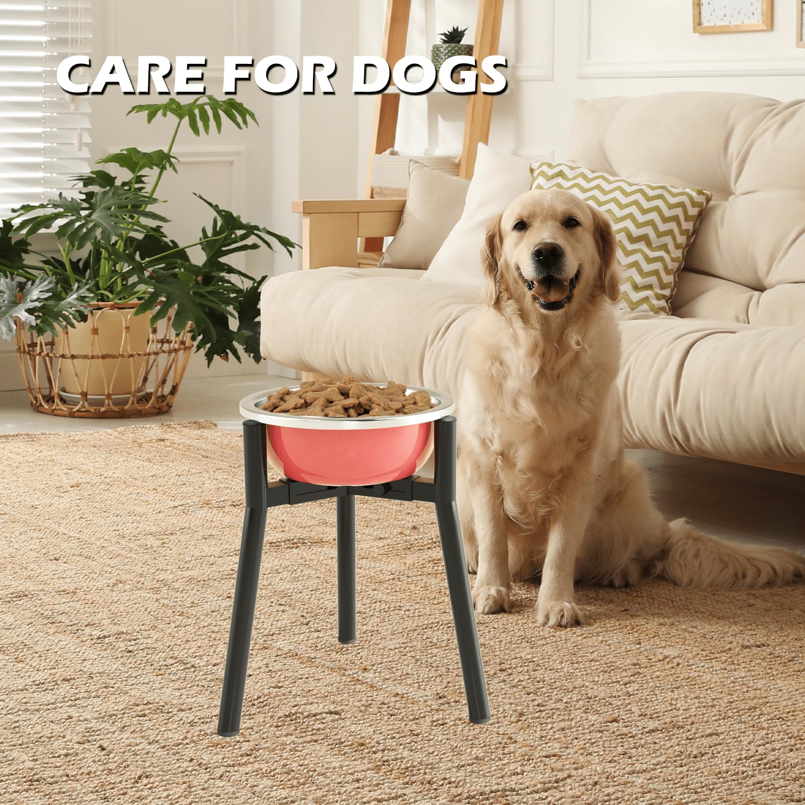 TIDANT dog bowl stand easy assembly with tool-free setup.