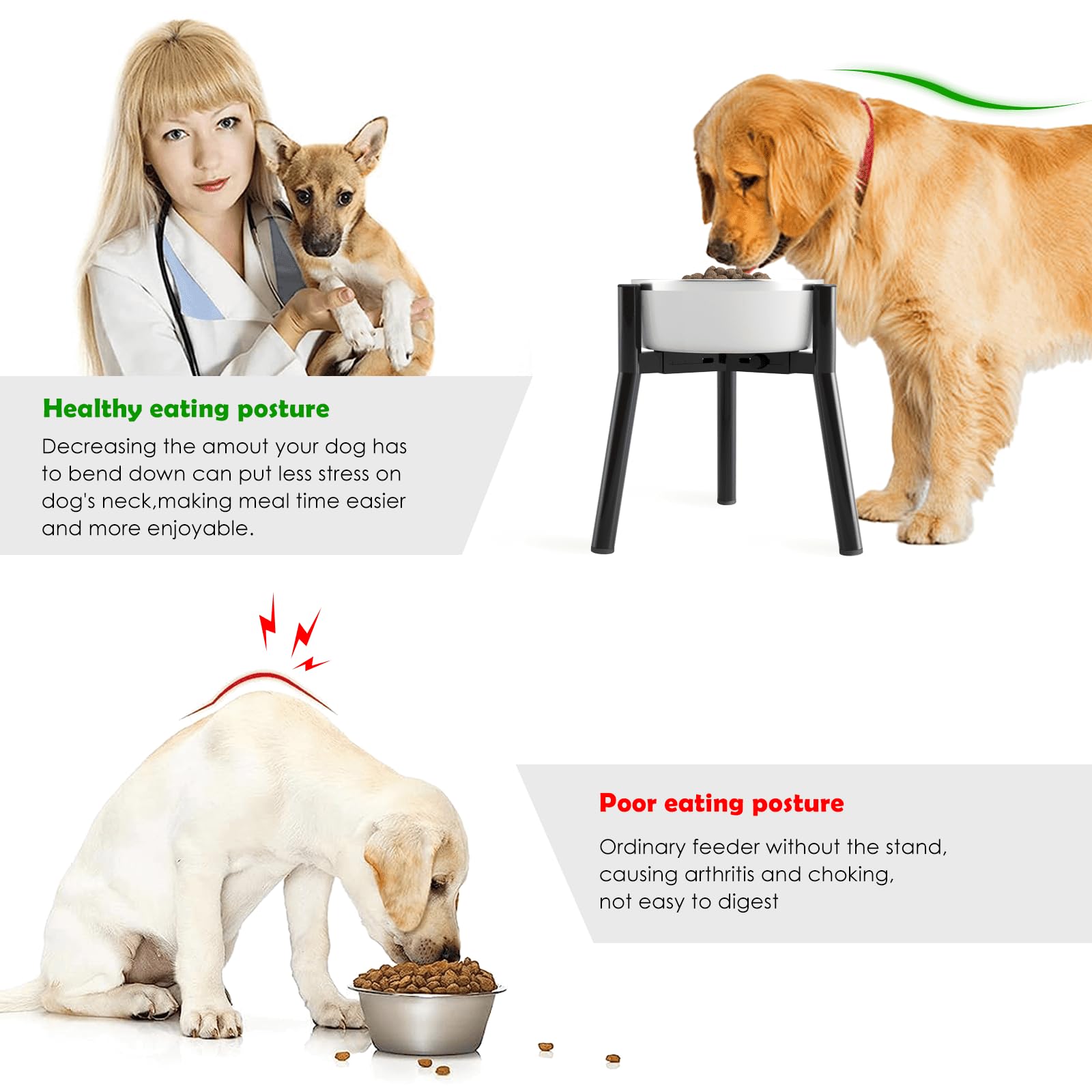 TIDANT dog bowl stand wide-range frame fits medium to large breeds