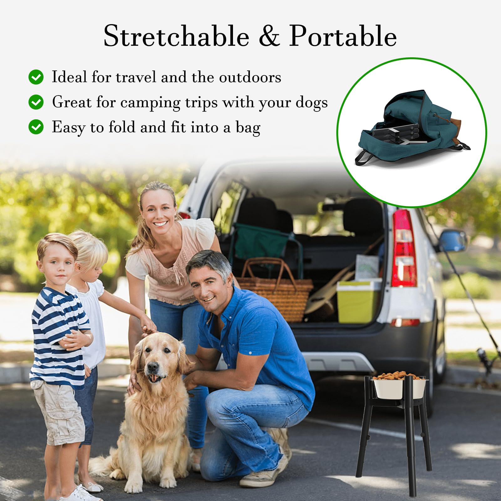 TIDANT dog bowl usage close-up in kitchen shows effortless feeding and easy cleanup.