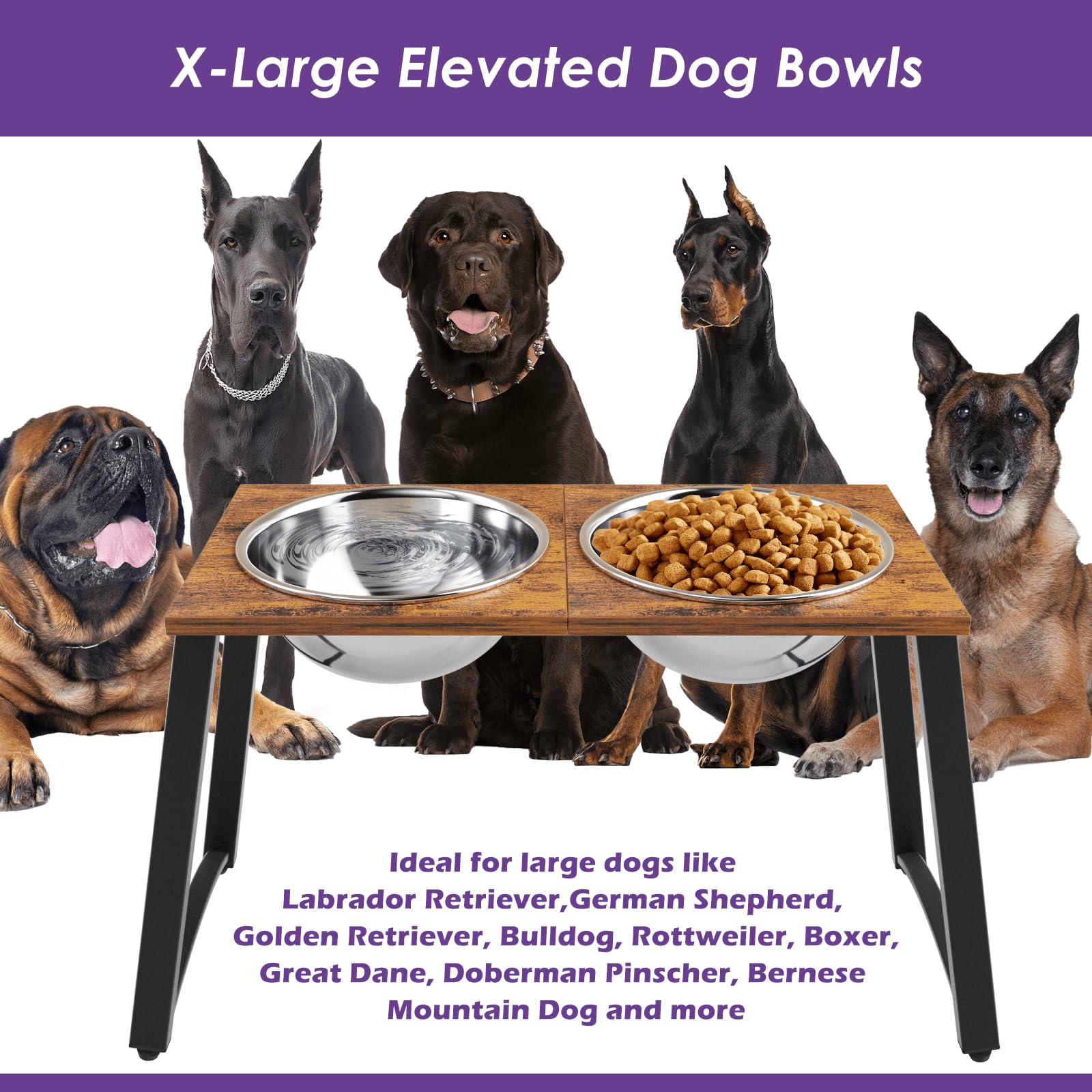 TIDANT stainless steel bowls closeup shows rust-free durability and easy cleaning