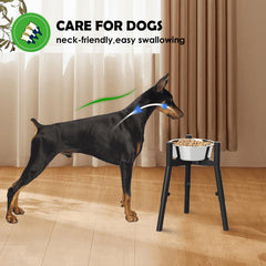 TIDANT elevated dog bowl height adjustment for customizable feeding height and reduced strain.
