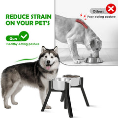 TIDANT elevated dog bowl stand demonstrates a 2-in-1 design for food and water.