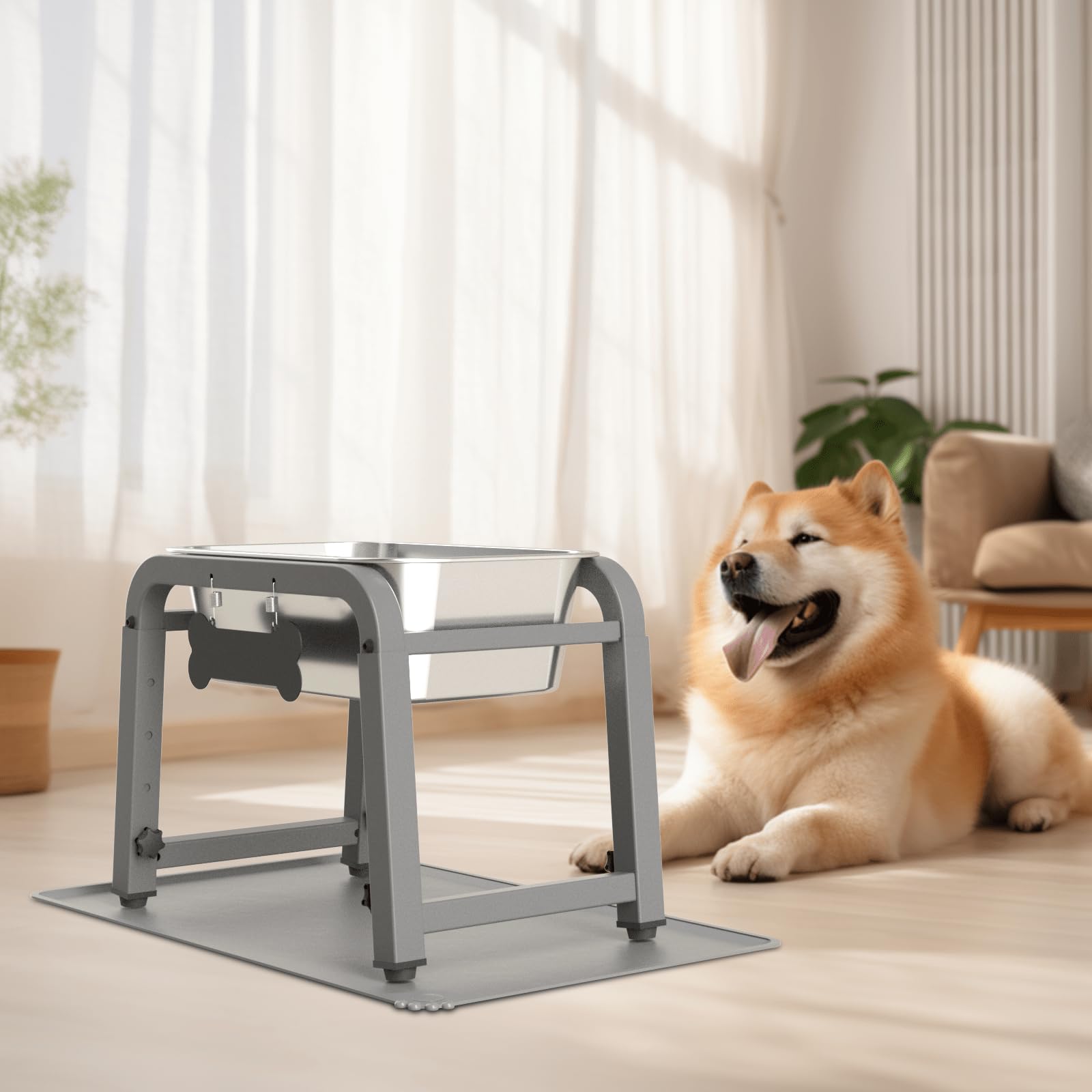 Tidant large-breed water stand supports comfortable hydration during long days.