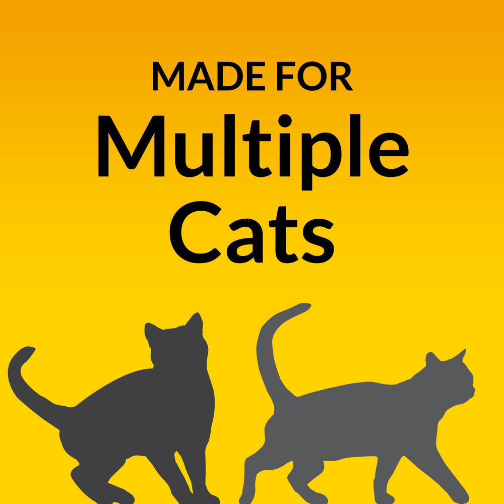 Purina Tidy Cats multi-cat use scenario in a busy household.