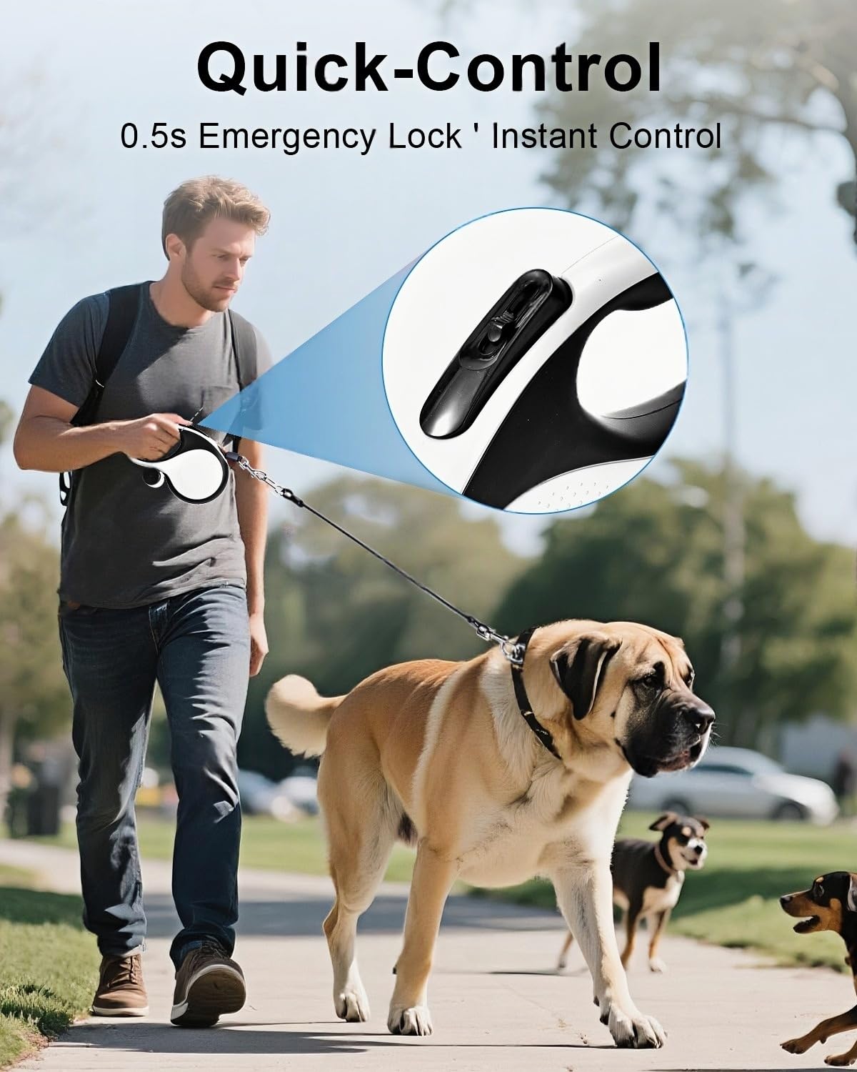 TidyTrek 360-degree rotating buckle prevents twist and keeps leash aligned.