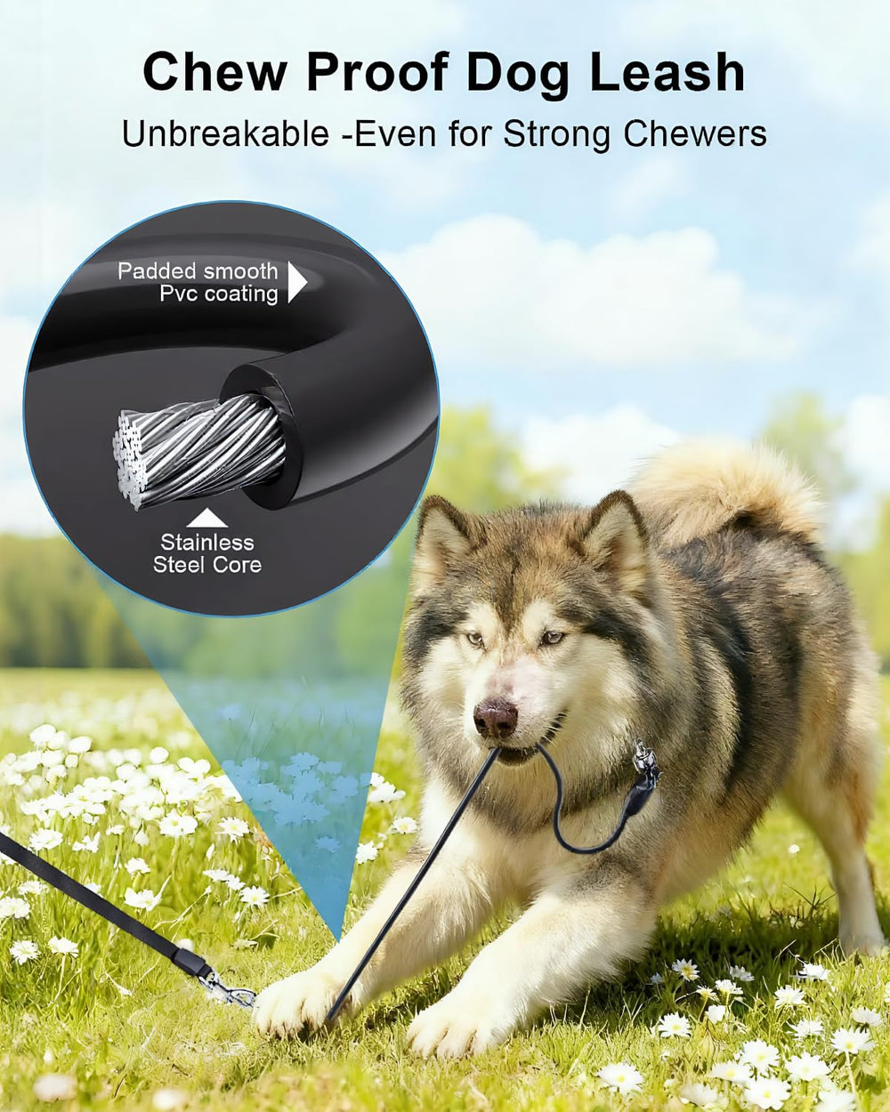 TidyTrek detachable chew-proof cable adds durability for dogs that chew during outings.