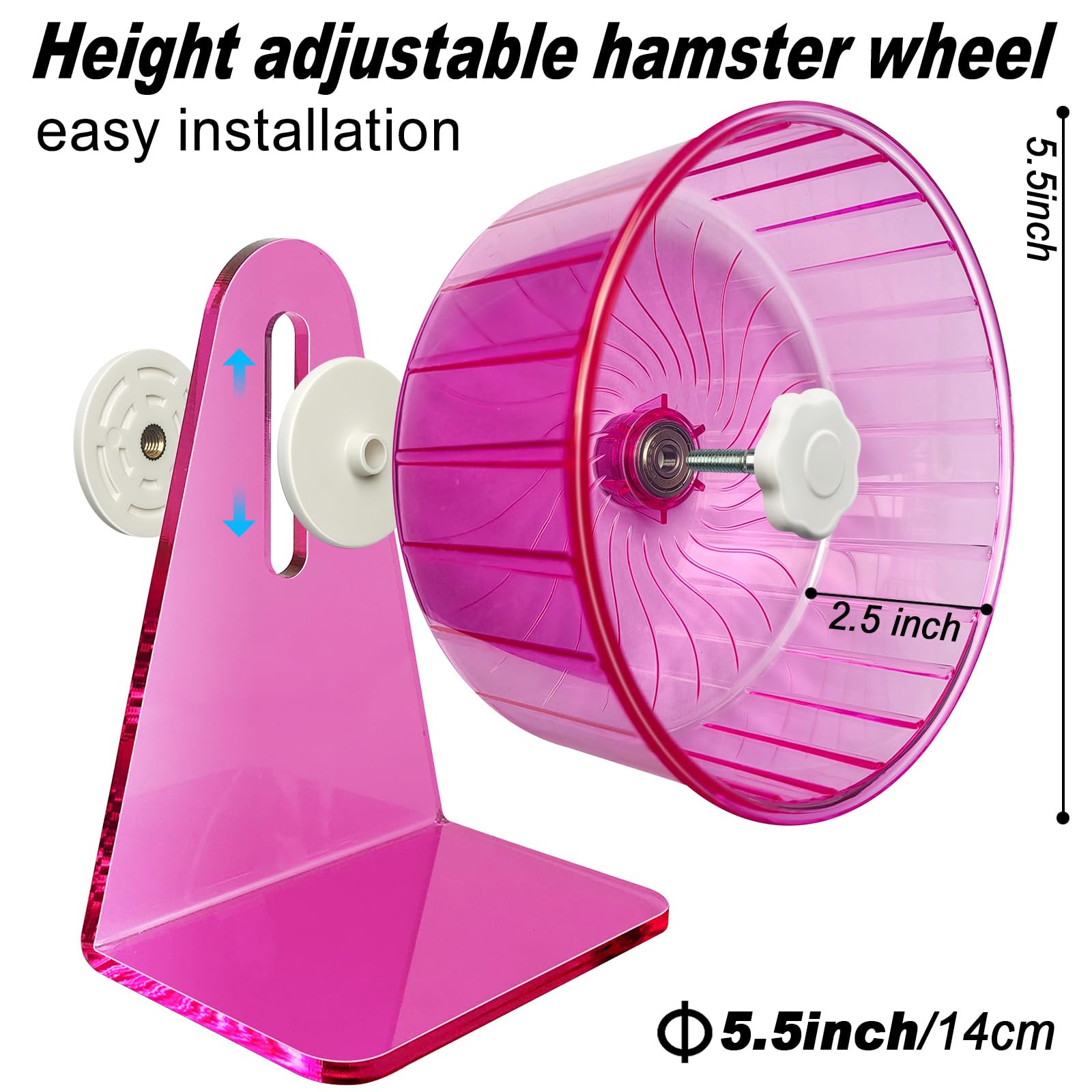 TieLishor hamster wheel running-drum shows comfortable drum size for relaxed running