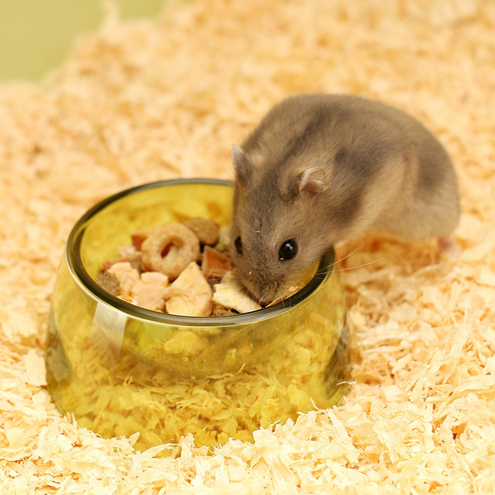 TieLishor multifunctional small-animal bowl supports both food and water for hydration.