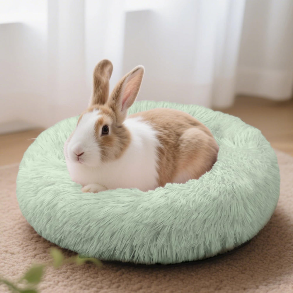 Tierecare bunny bed size fits one dwarf rabbit or two guinea pigs for napping.