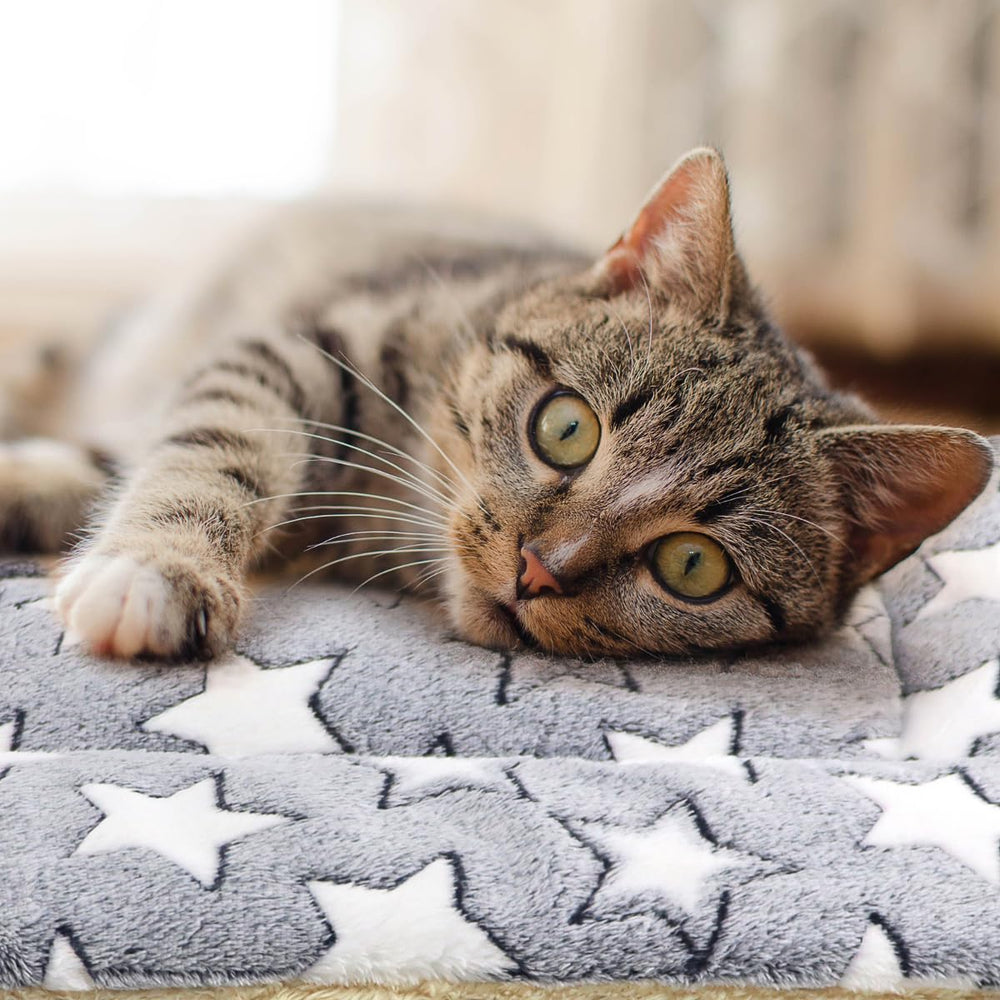 Tierecare cat blanket hidden seam design protects claws during use.