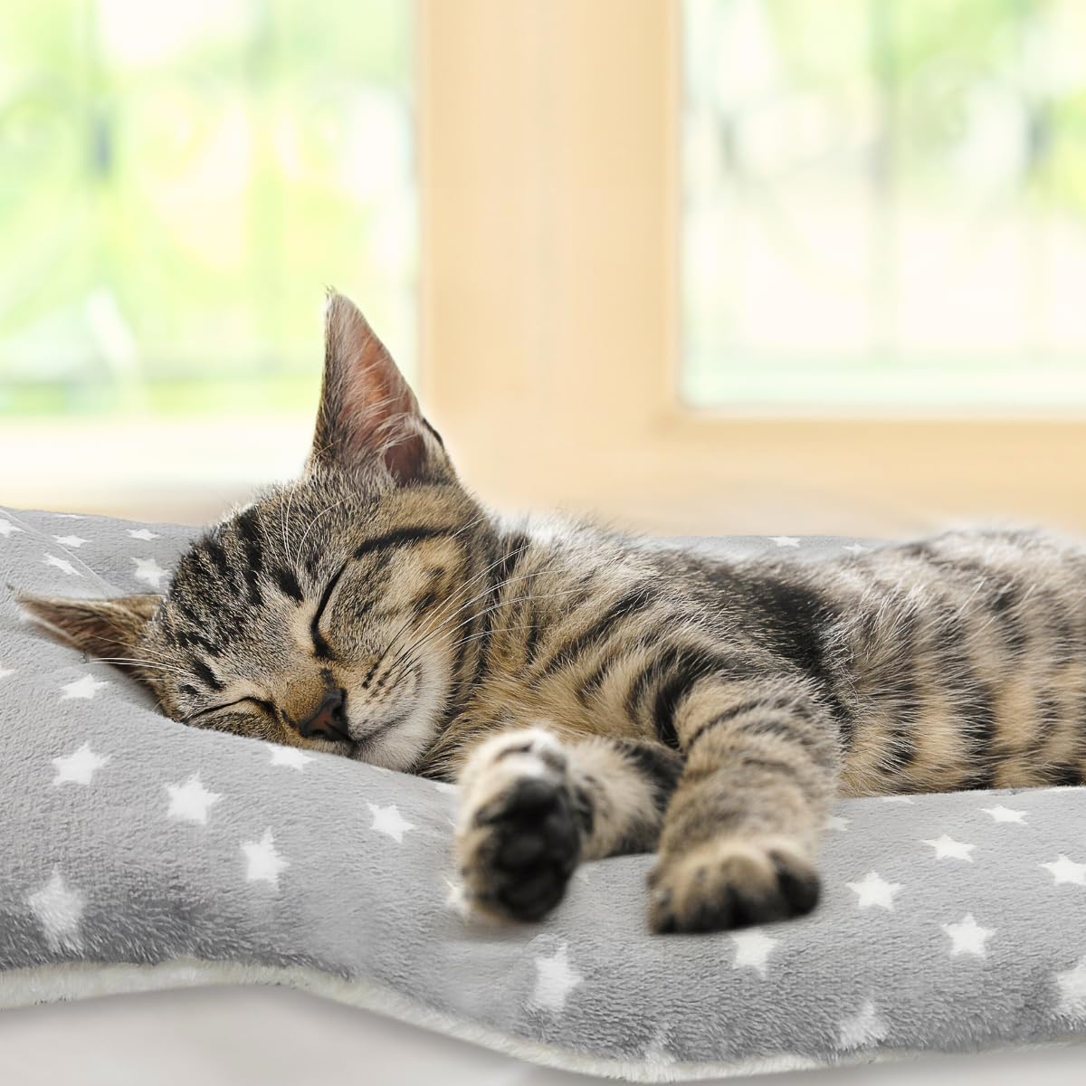 Tierecare cat blanket in pack highlights value for multiple spots.