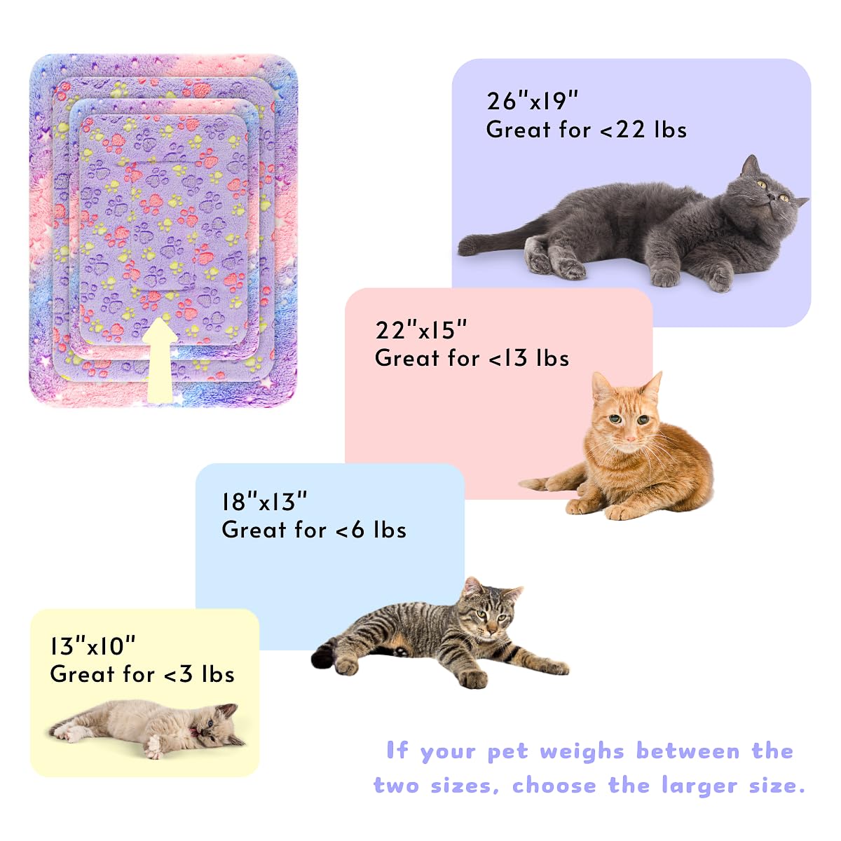 Tierrecare hidden-seams cat blanket provides paw protection in action.