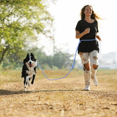 Tiesenci heavy-duty clip highlights secure control on mid-size to large dogs