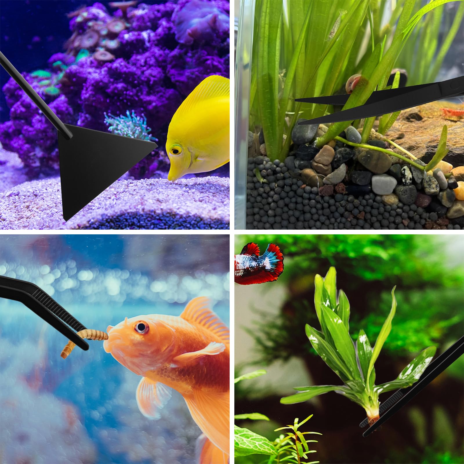 Tifanso 4 in 1 kit simplifies tank and terrarium maintenance tasks