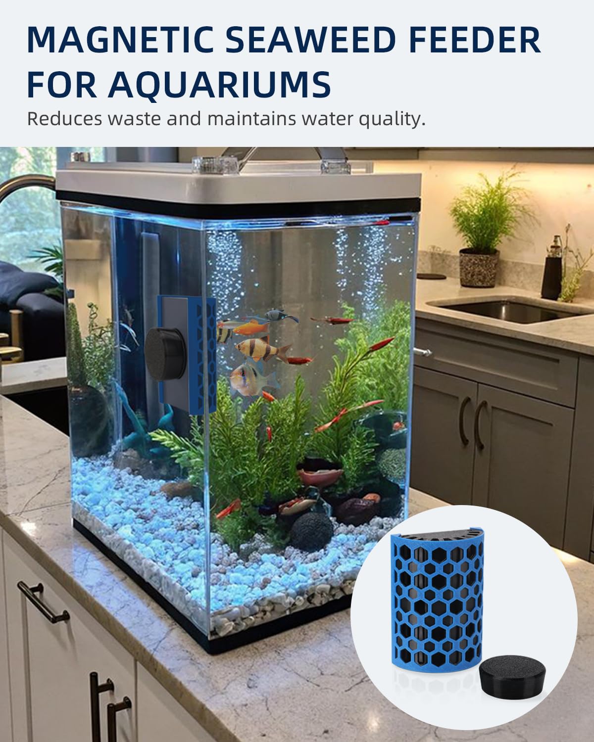 Tiga feeder supports tangs and other fish feeding together in tank